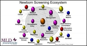 newborn screening ecosystem